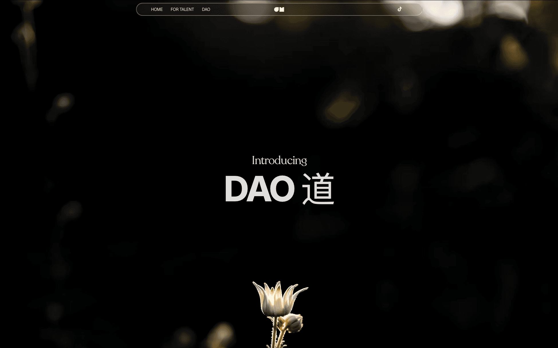 DAO 道 | JUST MEDIA